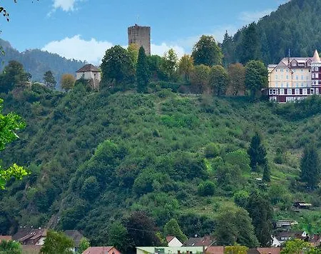 Otel Schloss Hornberg